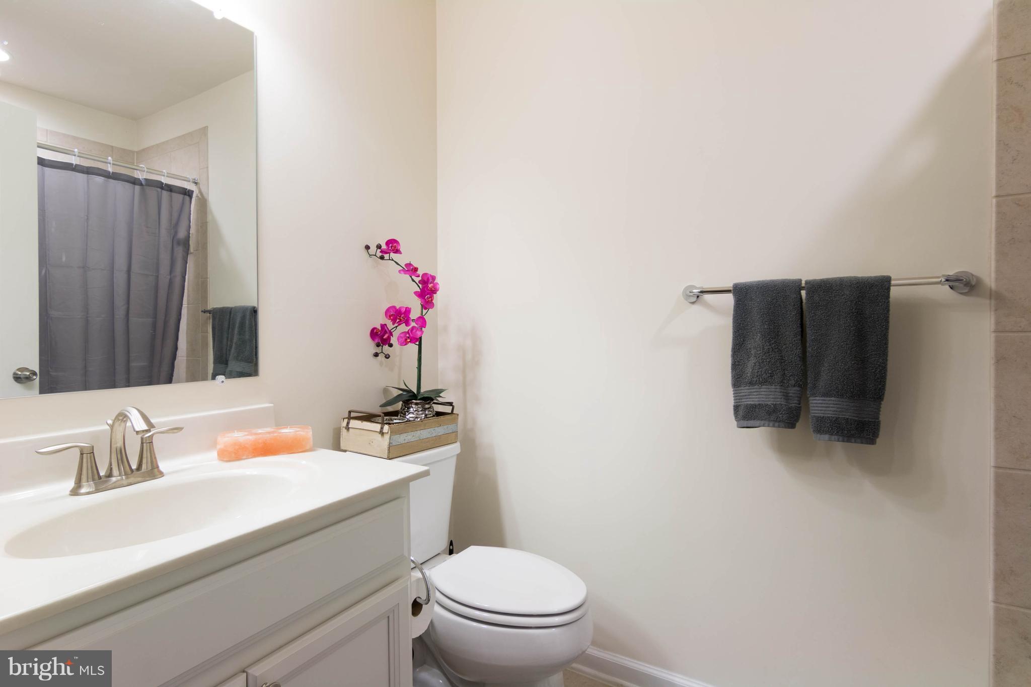 OXFORD SQUARE - Residential Lease