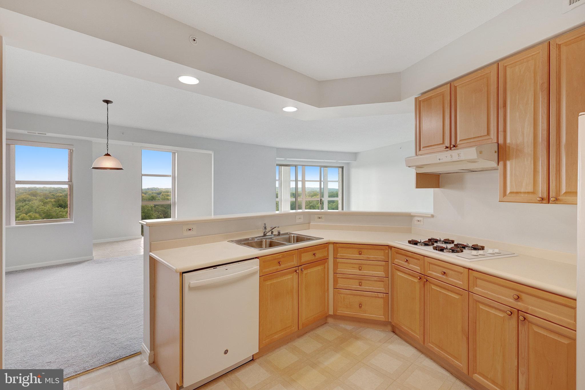 MAGNOLIAS AT LANSDOWNE WOODS - Residential