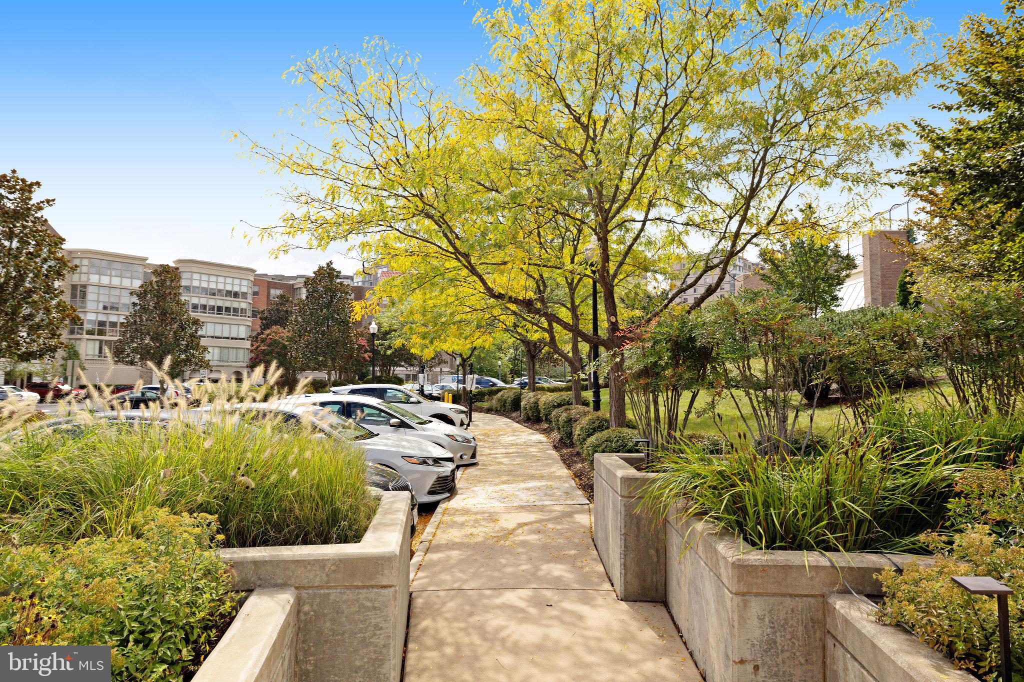 MAGNOLIAS AT LANSDOWNE WOODS - Residential