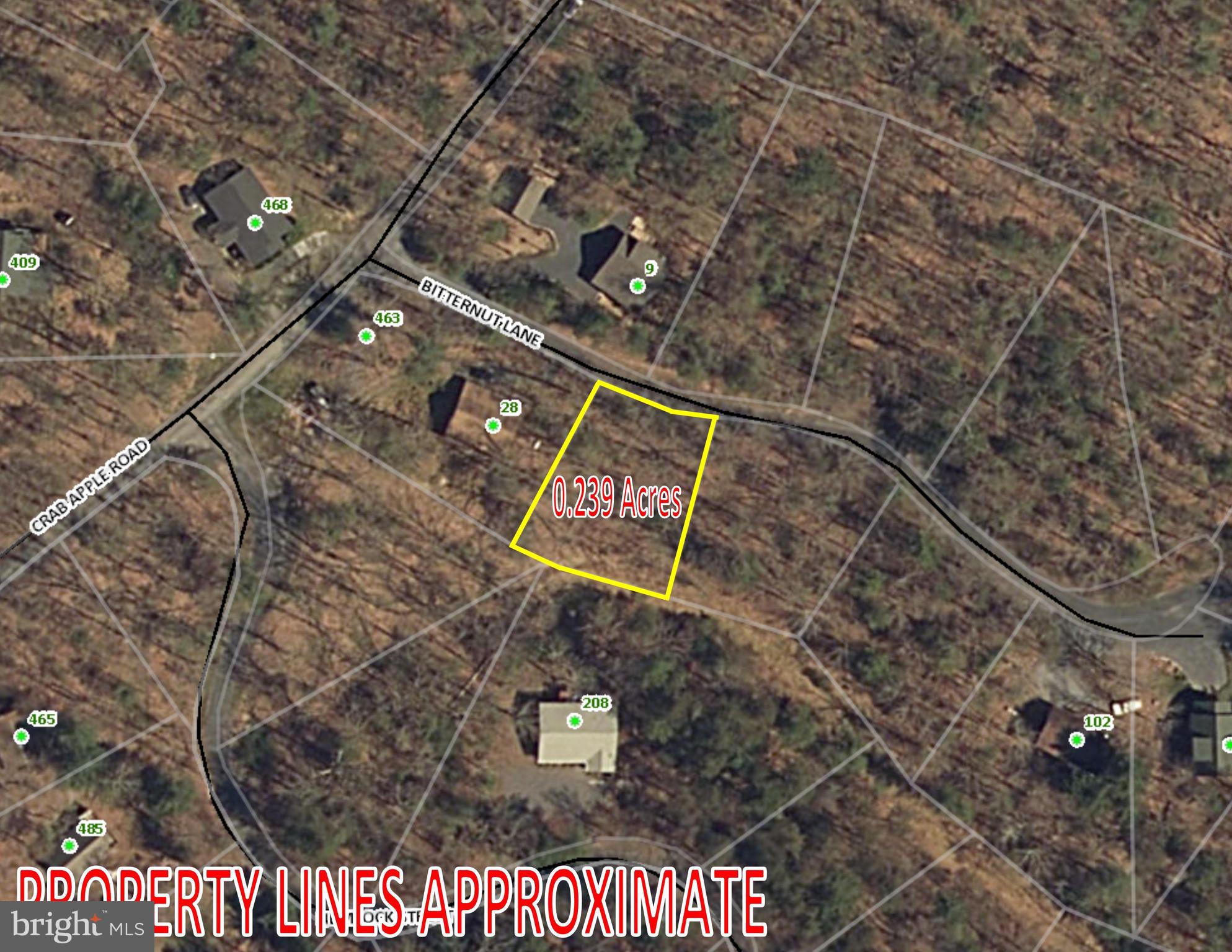 BRYCE  MOUNTAIN - Land