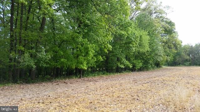 NONE AVAILABLE - Land