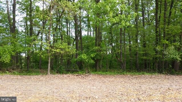 NONE AVAILABLE - Land