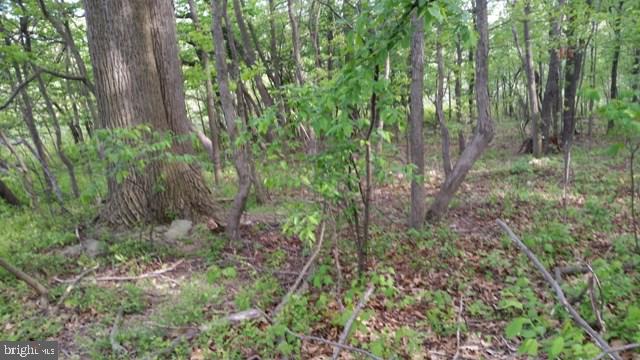 NONE AVAILABLE - Land