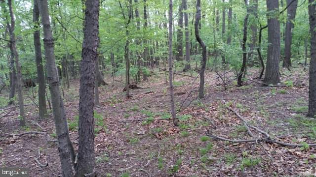 NONE AVAILABLE - Land