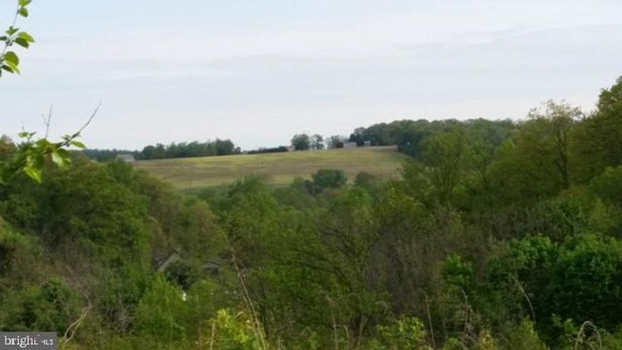 Nice view from the top of this parcel! This lot has road frontage on both Hill St and Pine St. Stream runs along Hill St. Plenty of level land (both cleared and wooded) at the top where Pine St ends. The back of the lot is the tree line - field behind is not this parcel. Parcel does have some slope from Hill St.