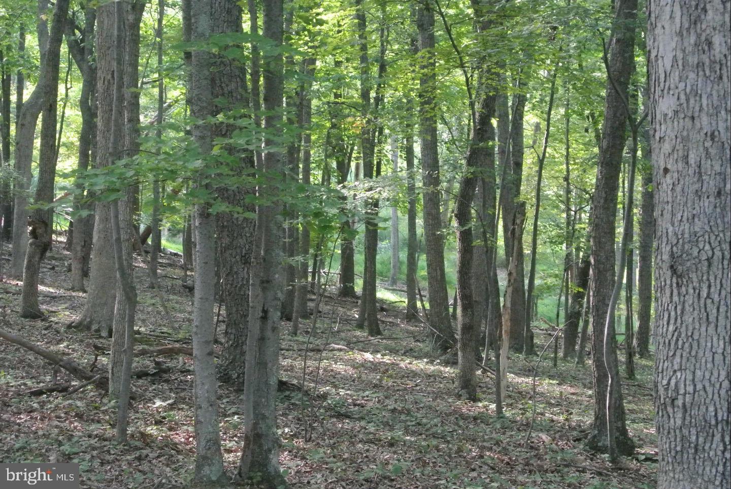 SLEEPY CREEK HIDE-A-WAY - Land