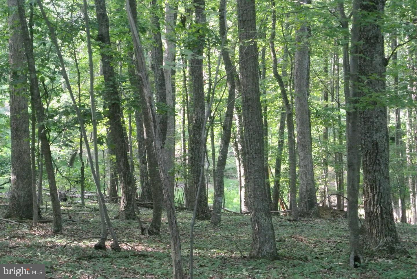 SLEEPY CREEK HIDE-A-WAY - Land