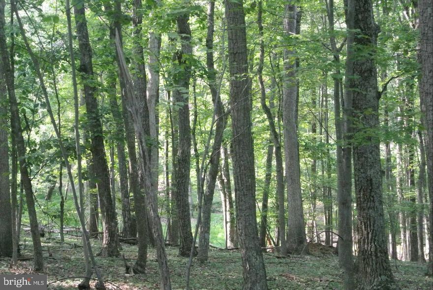 Wood lot in Sleepy Creek Hide-a- Ways.  Buy now, build later, you decide.  Not far from Cacapon State Park and ideal for Winchester commuters.
