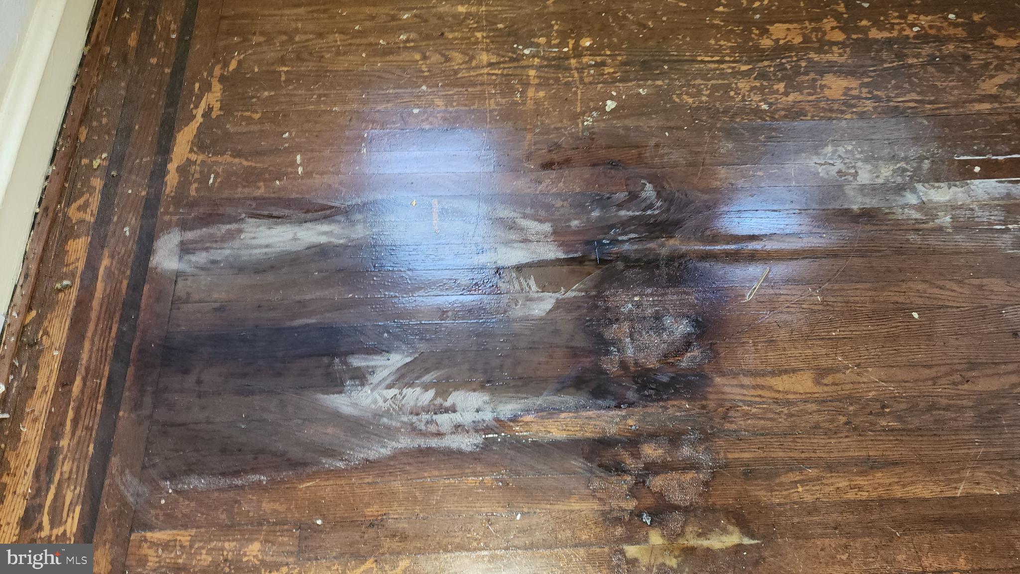 2113 N FRANKLIN STREET