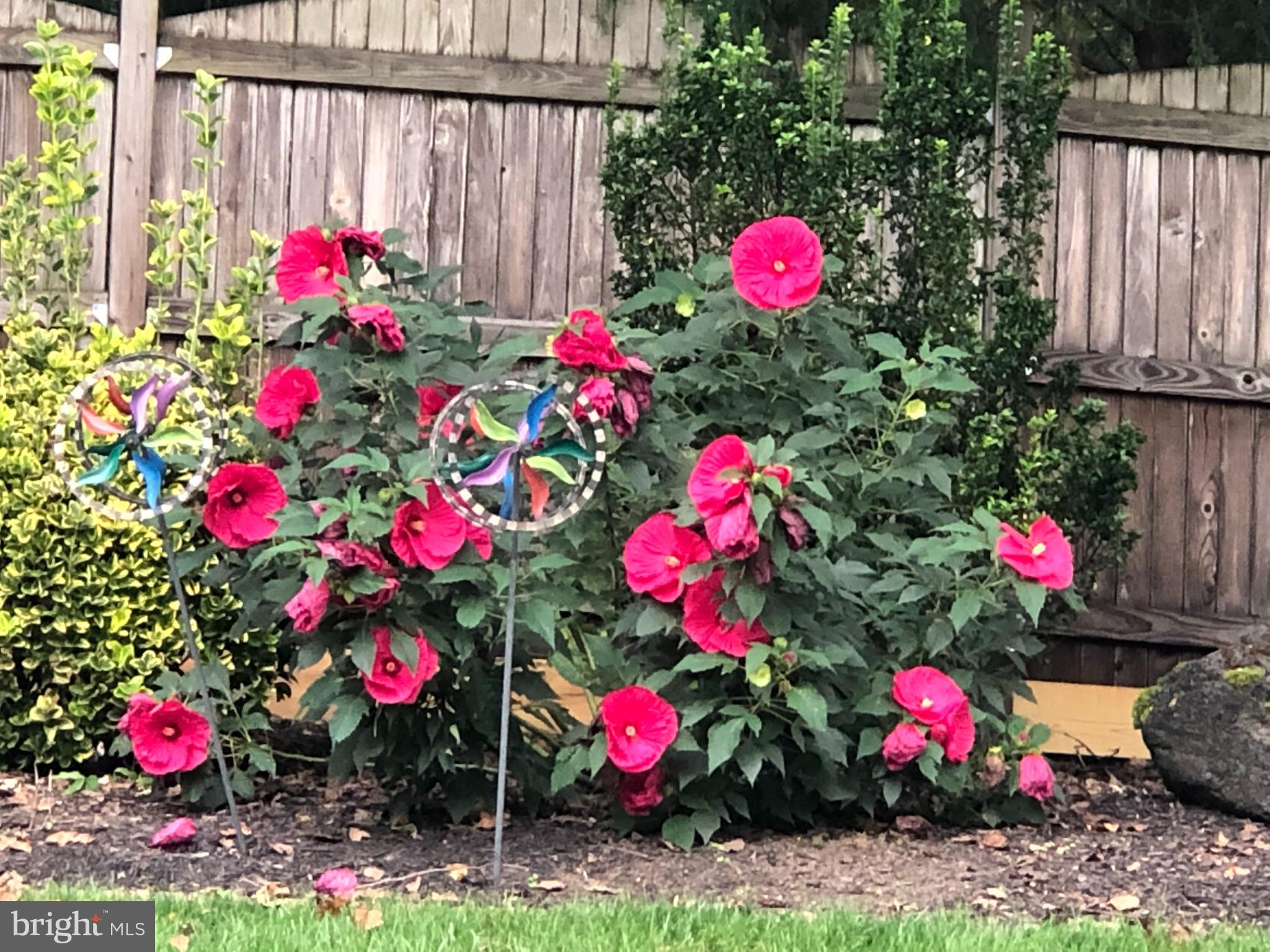 COPENHAVER - Residential