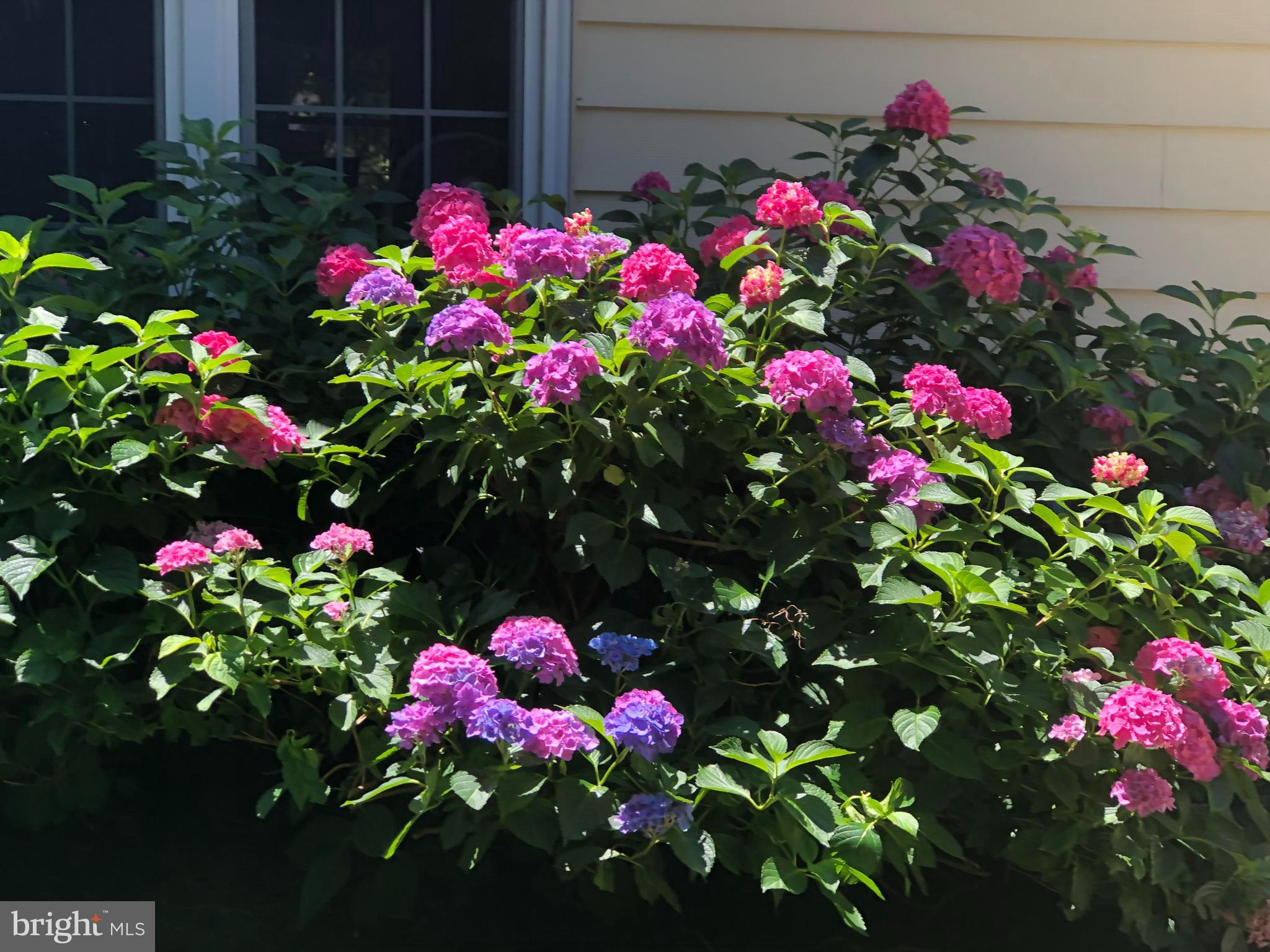 COPENHAVER - Residential