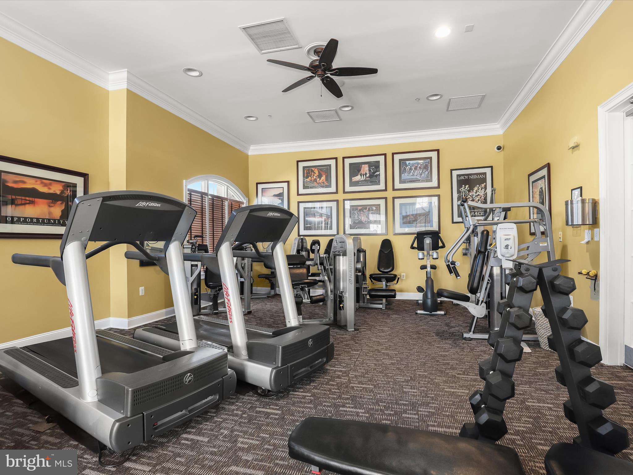 SNOWDEN OVERLOOK - Residential