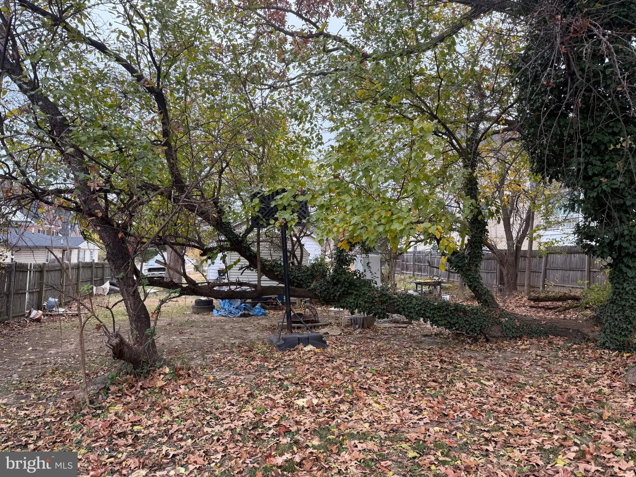 SPRINGDALE ESTATES - Residential