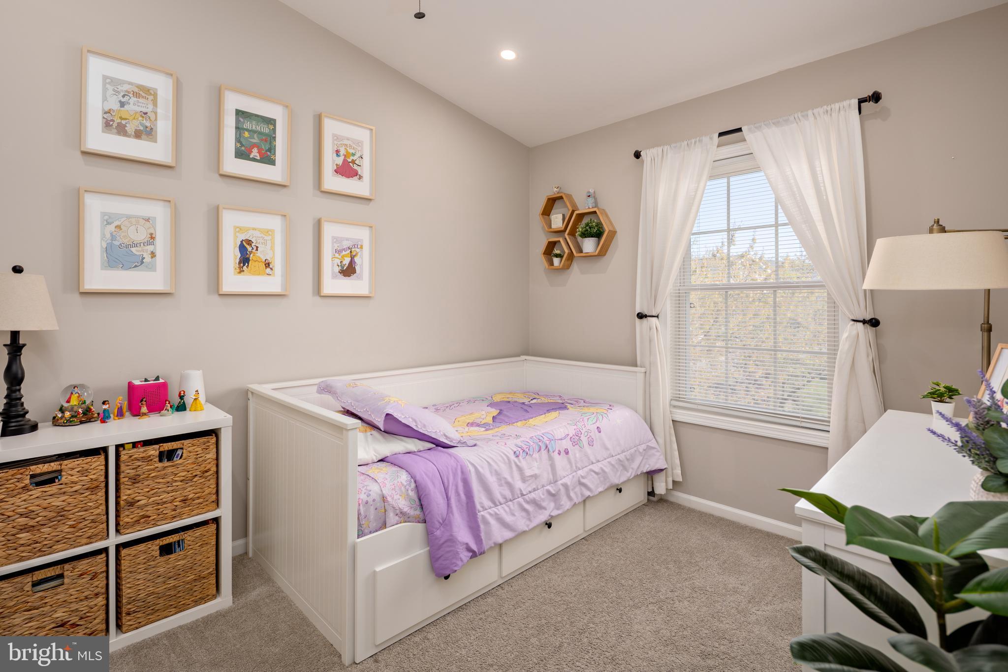 NEW COLONY VILLAGE - Residential