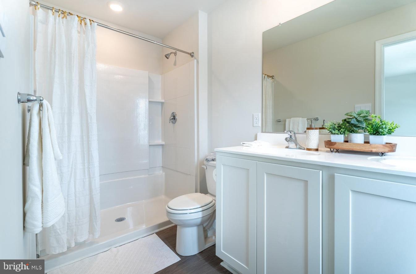 SASSAFRAS MEADOWS - Residential