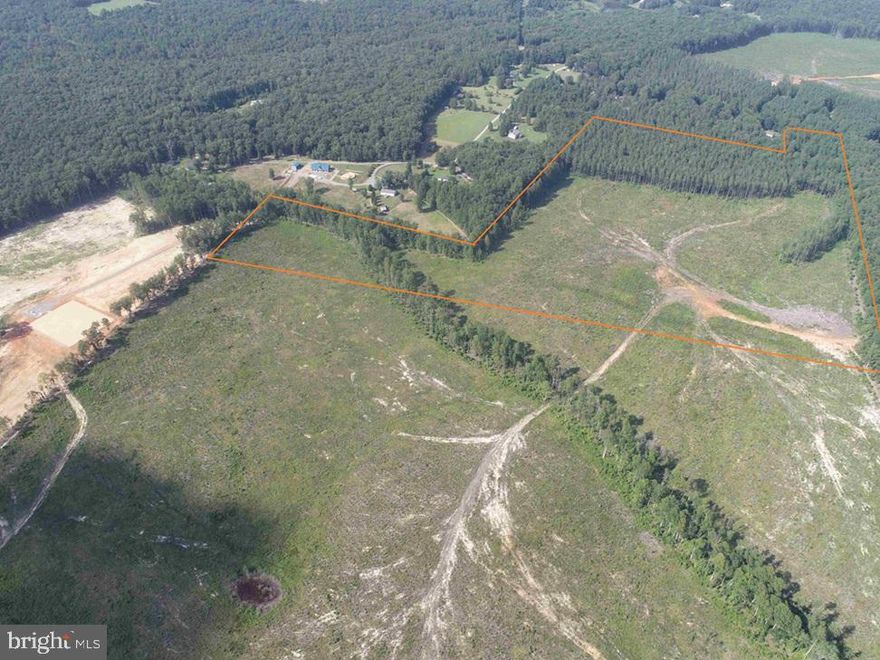 The Bedford-Bowels_Sims-3 tract is 61.47 acres located on Dogwood Drive approximately 5.5 miles from Zions Crossroads and 20 miles East of Charlottsville. This Tract lays gentle rolling with a small spring on the northeastern part of the property. The timber consists of the following, 21.80 acres of 2024 planted Loblolly pine, 14.12 acres of 1994 planted Loblolly pine, and 5.21 acres of mature natural hardwoods.  This property is an excellent opportunity for an estate or small farm. 

Disclaimer: Property inspections shall be done during daylight hours. Seller and Advance Land and Timber, LLC in no way make any representations or warranties regarding the conditions of the property, including any and all access routes, and all persons entering upon the property do so at their own risk and accept said property as-is in its existing condition during such inspections. All persons entering upon the property assume all risks and liabilities and agree to indemnify, defend, and hold harmless Seller, its affiliates, officers, directors, managers, agents, representatives and employees from and against any and all claims, demands, causes of action, injuries (including death) and damages resulting from any accident, incident, or occurrence arising out of, incidental to or in any way resulting from his or her inspection of the property or his or her exposure to the conditions of the property.