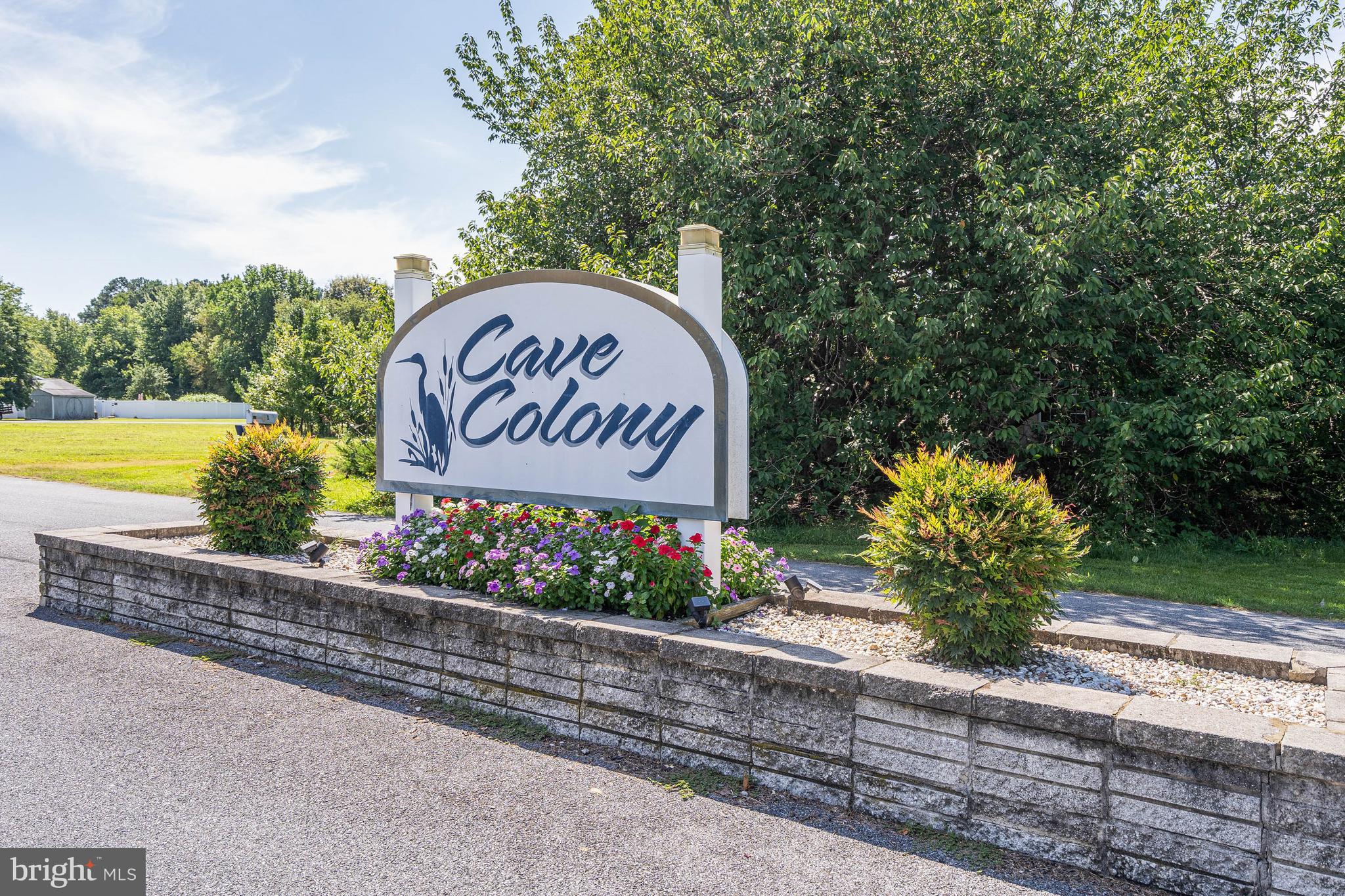 CAVE COLONY - Residential