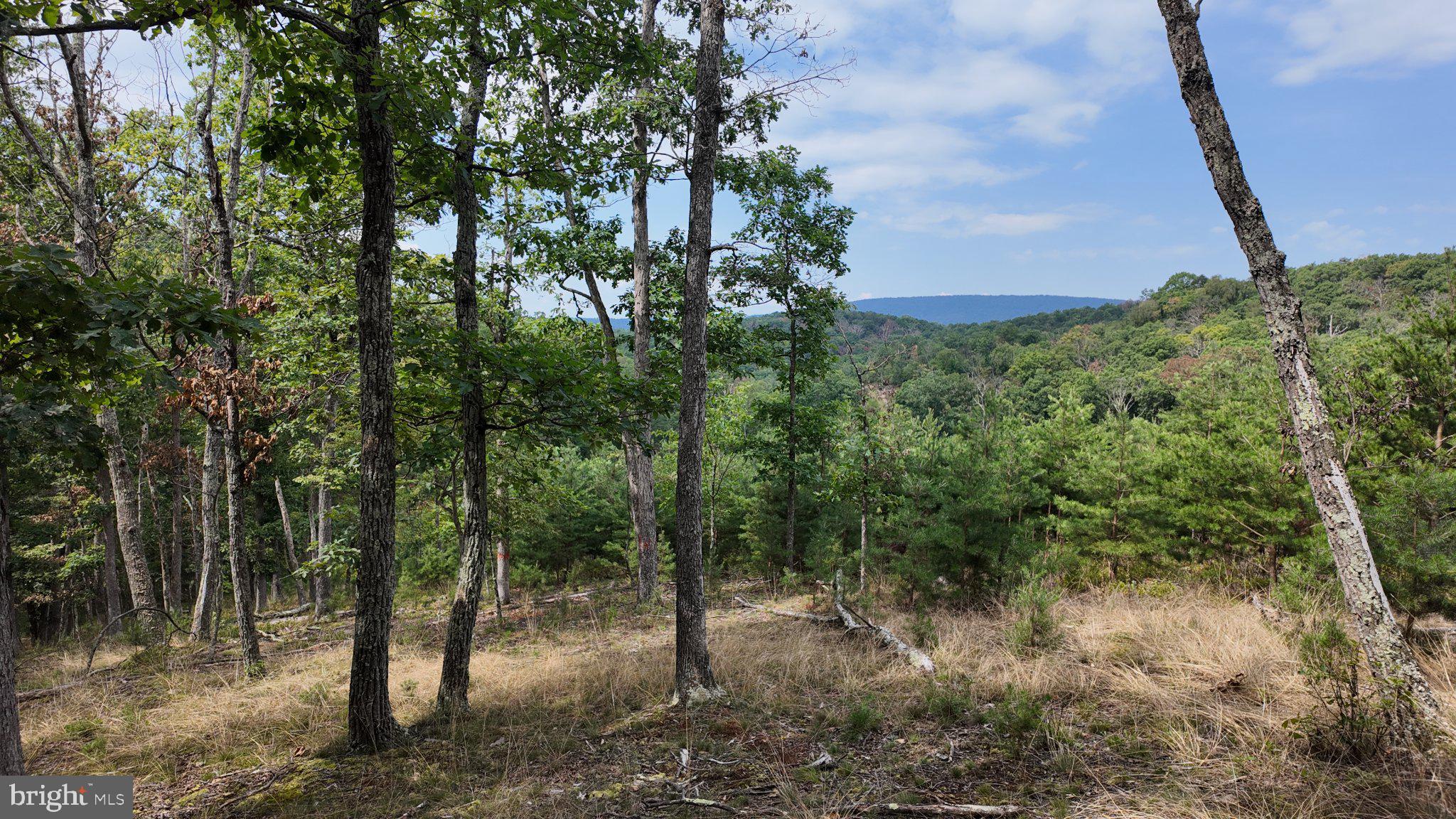 29 Acres GAITHER ROAD