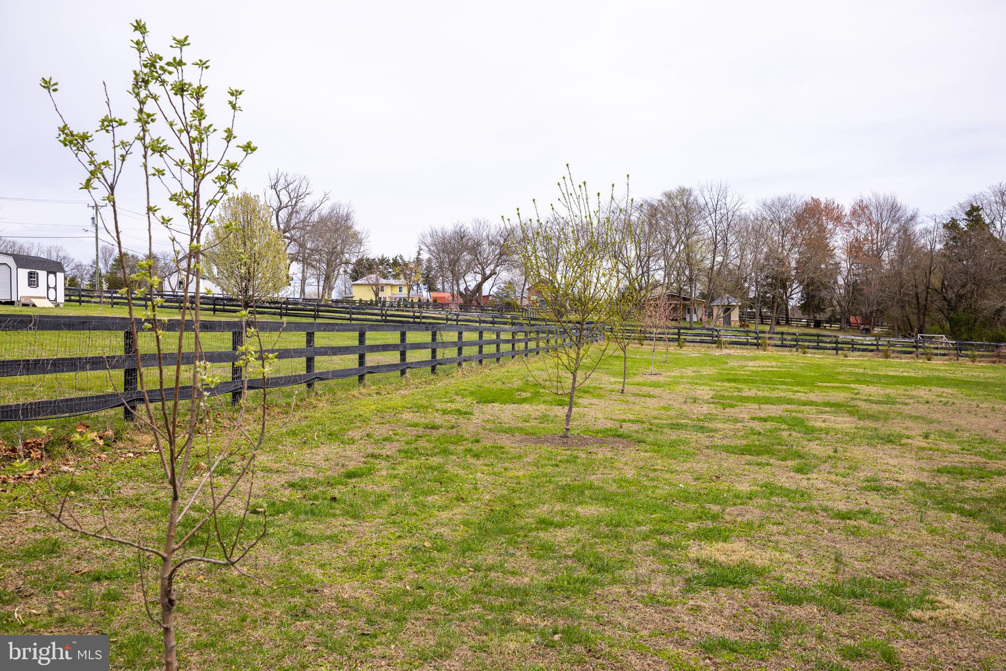 MAJESTIC RIDGE ESTATES - Residential