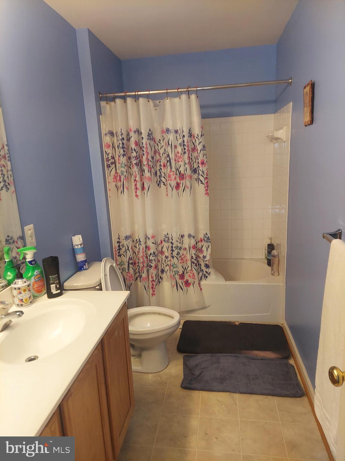 13203 FALLING WATER COURT