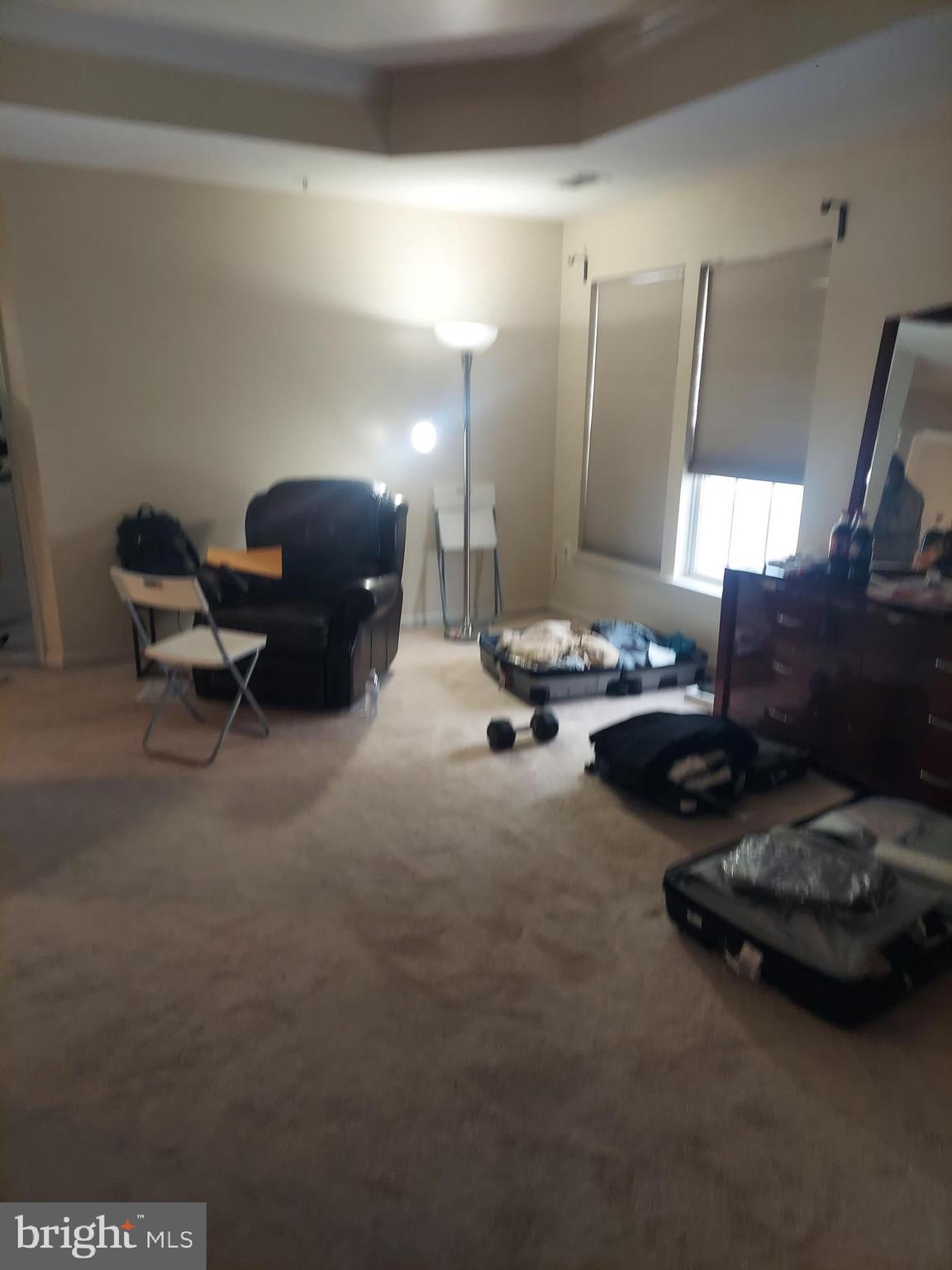 13203 FALLING WATER COURT