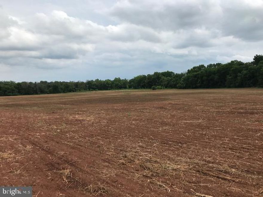 356 acre farm in three parcels of 279 and 15.4 acres sold separately or as a whole.   In agricultural production under ag lease (year to year) and in land use.  Not Conservation Easement.  16 by right potential lots per Fauquier County.  Long frontage on Rt 28 at Midland.  approximately 50 acres in the Midland Service District planned R-1, one acre lots.  Backs to Crockett Park and Germantown Lake with the 15 acre parcel possibly a lake view building lot.   Property is a portion of the 1100 acre historic Germantown Settlement and a small area of remnant structures and graves remain.   Listed on the National Register.

Multiple possible uses - agriculture, residential, investment, etc.    In land use taxation.

Main corpus of the farm is in crop production with some areas wooded.  Portions fenced for cattle historically.  Licking Run bisects the property and creates opportunities for possible ecosystem service development of wetlands, stream restoration or nutrient reduction.  Stream is below the Germantown dam and a dam inundation zone exists downstream.