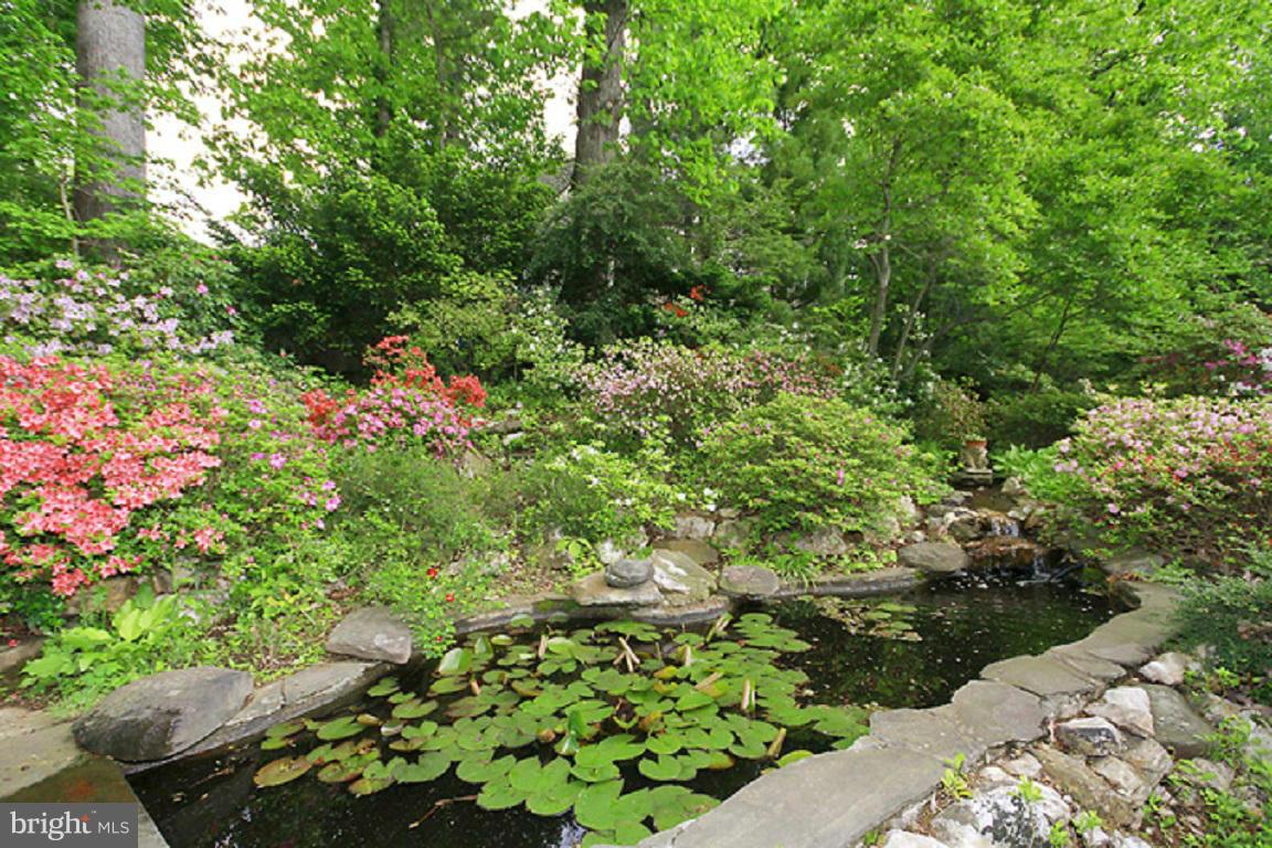 BRADLEY HILLS GROVE - Residential