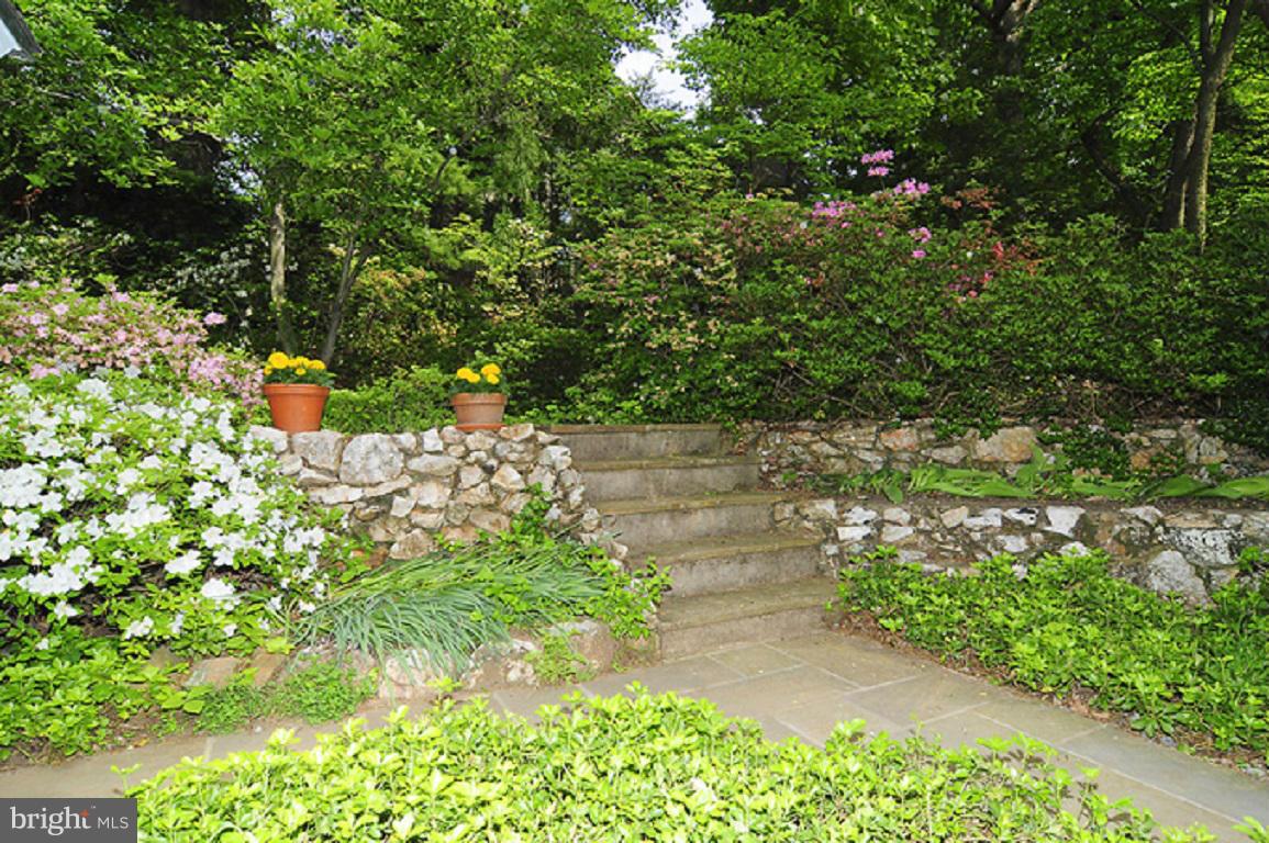 BRADLEY HILLS GROVE - Residential