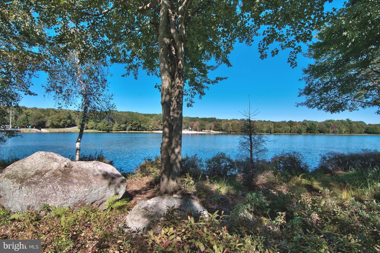 BRIER CREST WOODS - Residential