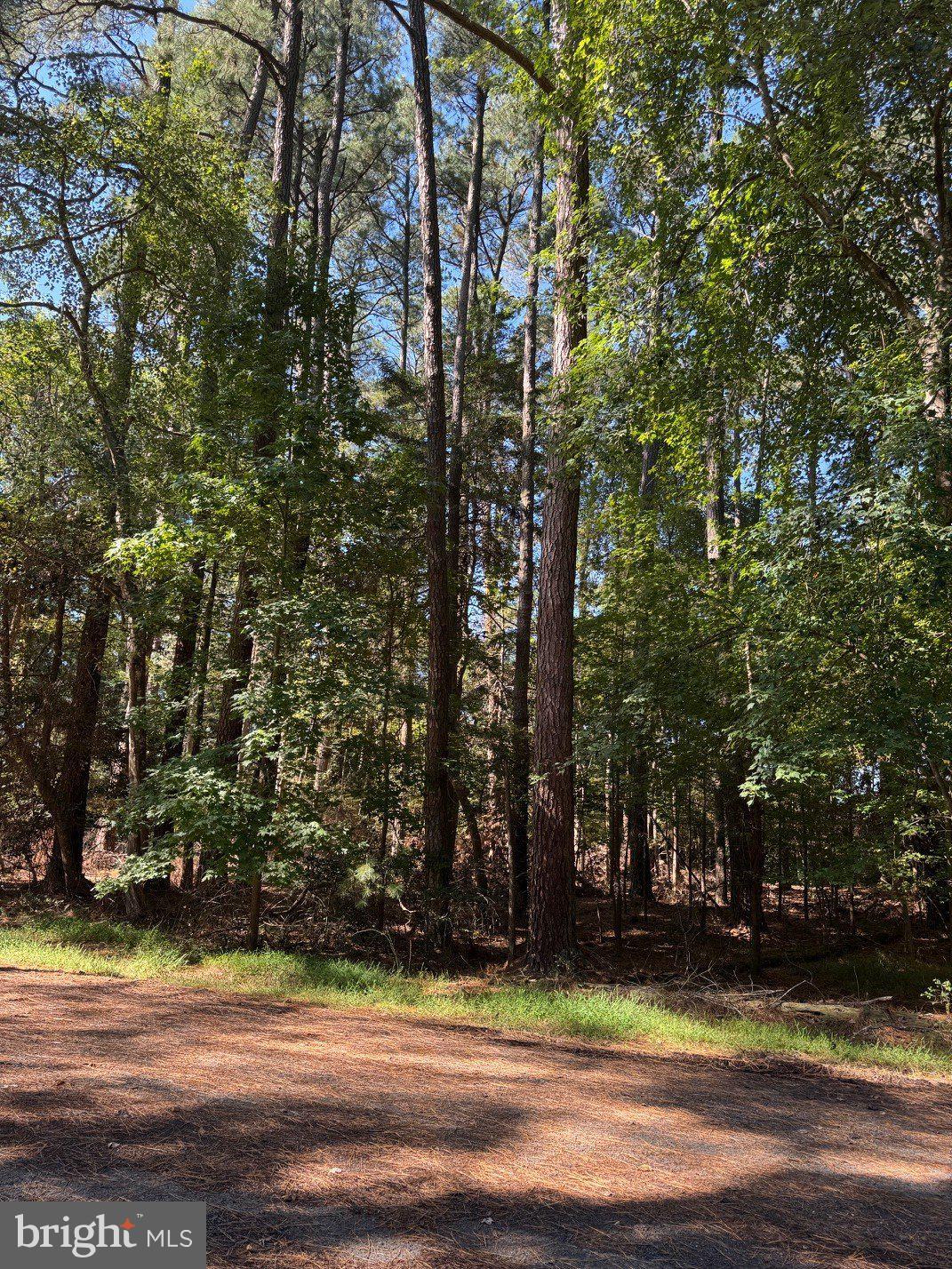 Lot 485 DRY DOCK COURT