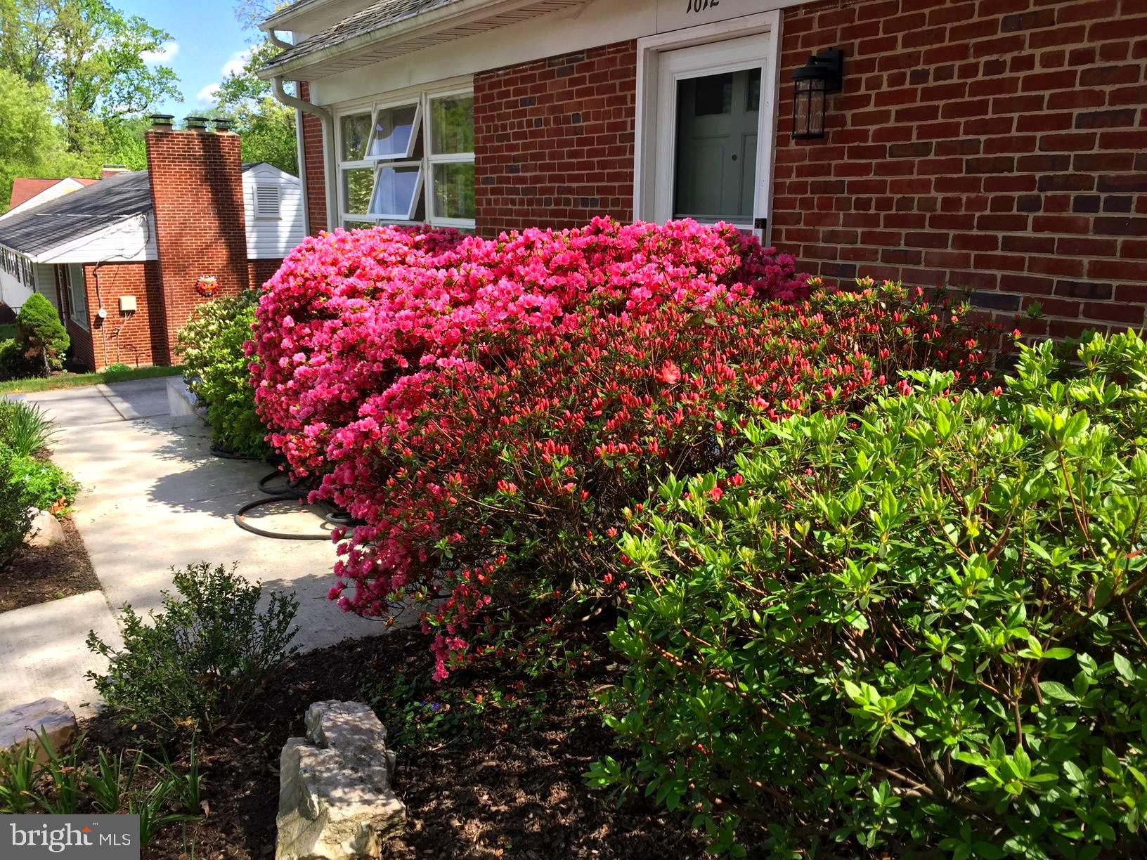 FOREST GROVE - Residential