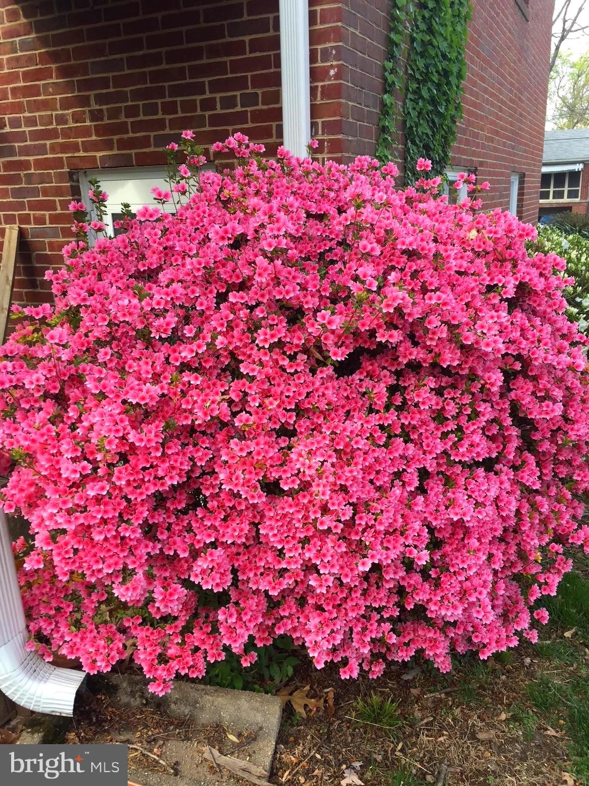 FOREST GROVE - Residential