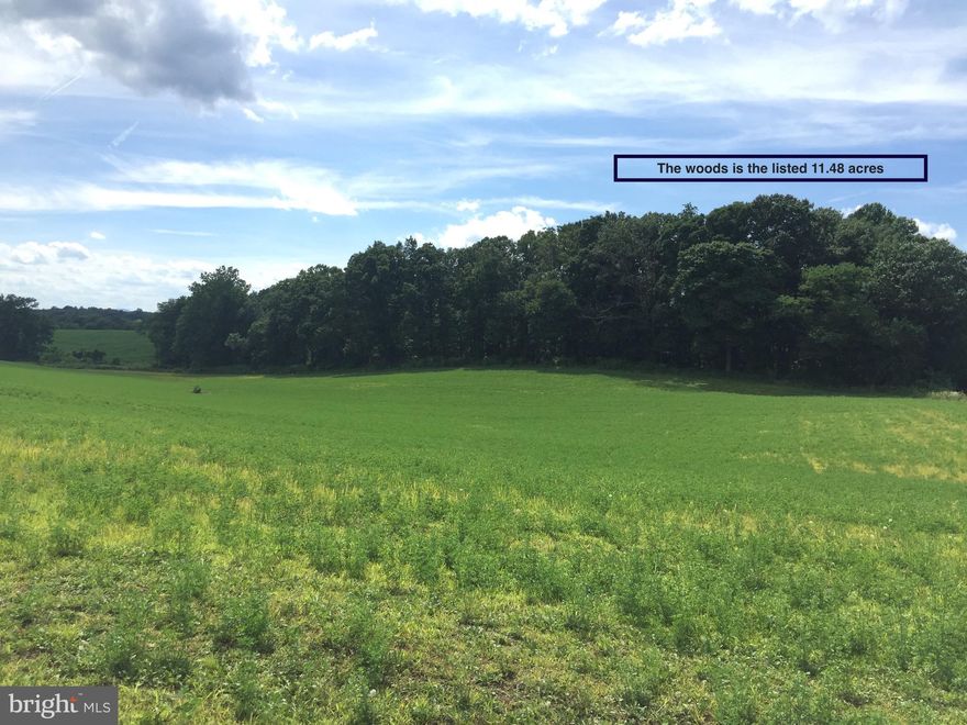 Nice 11.48 acre piece of land just off Shelby Rd in Madison County.  It is located just off of Rt. 29 and convenient to commuters heading to Charlottesville. The property is all wooded and in a nice area adjoining a pretty farm.  See the aerial photo. The land is being sold "AS IS, WHERE IS" CONDITION because it is in an Estate. The seller does not have a survey nor any Drain field design info.  All offers are subject to approval by the Bankruptcy court.