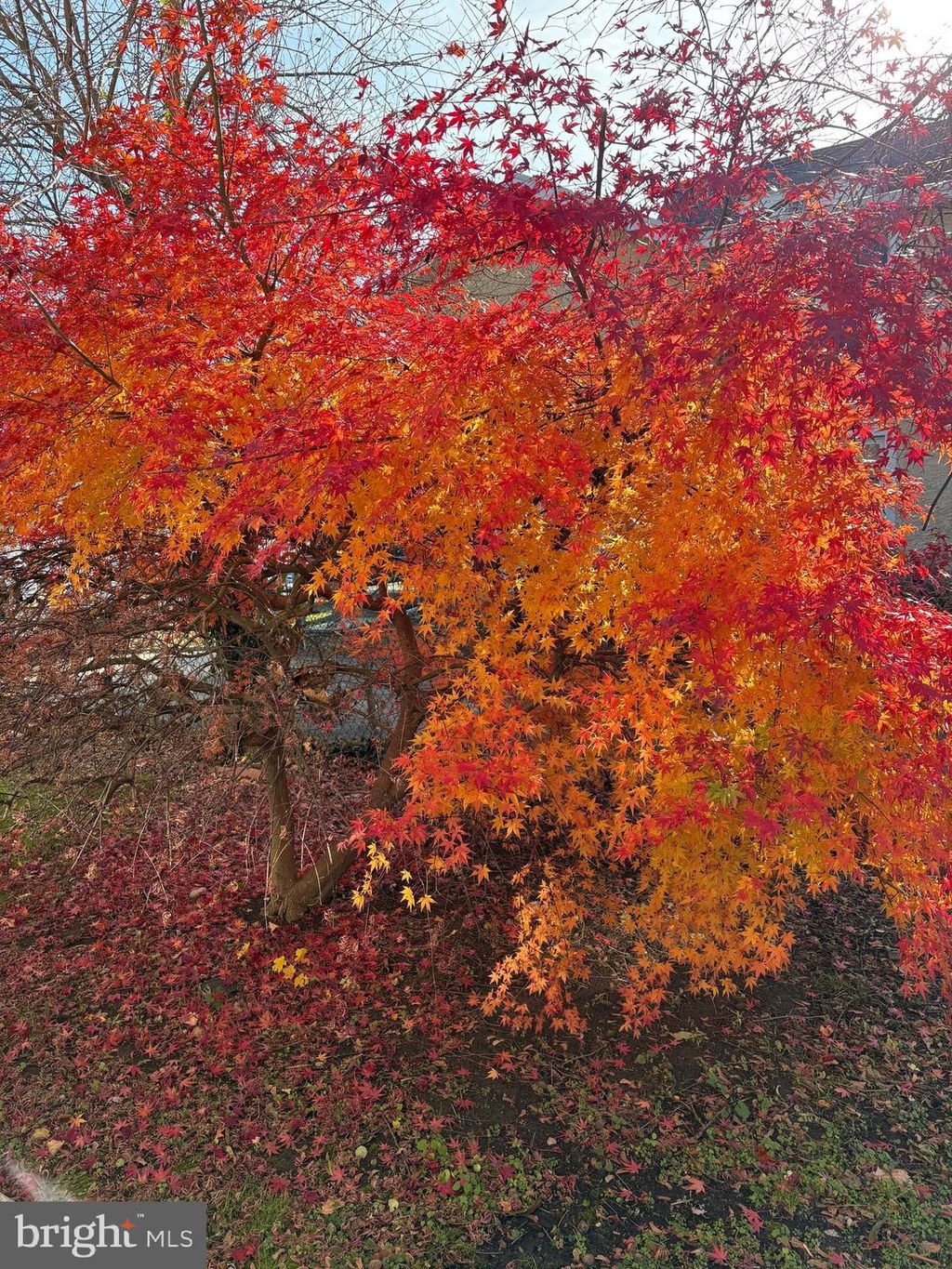 Photo of 7330 Sycamore Avenue #2, ELKINS PARK, PA 19027 (MLS # PAMC2162724)