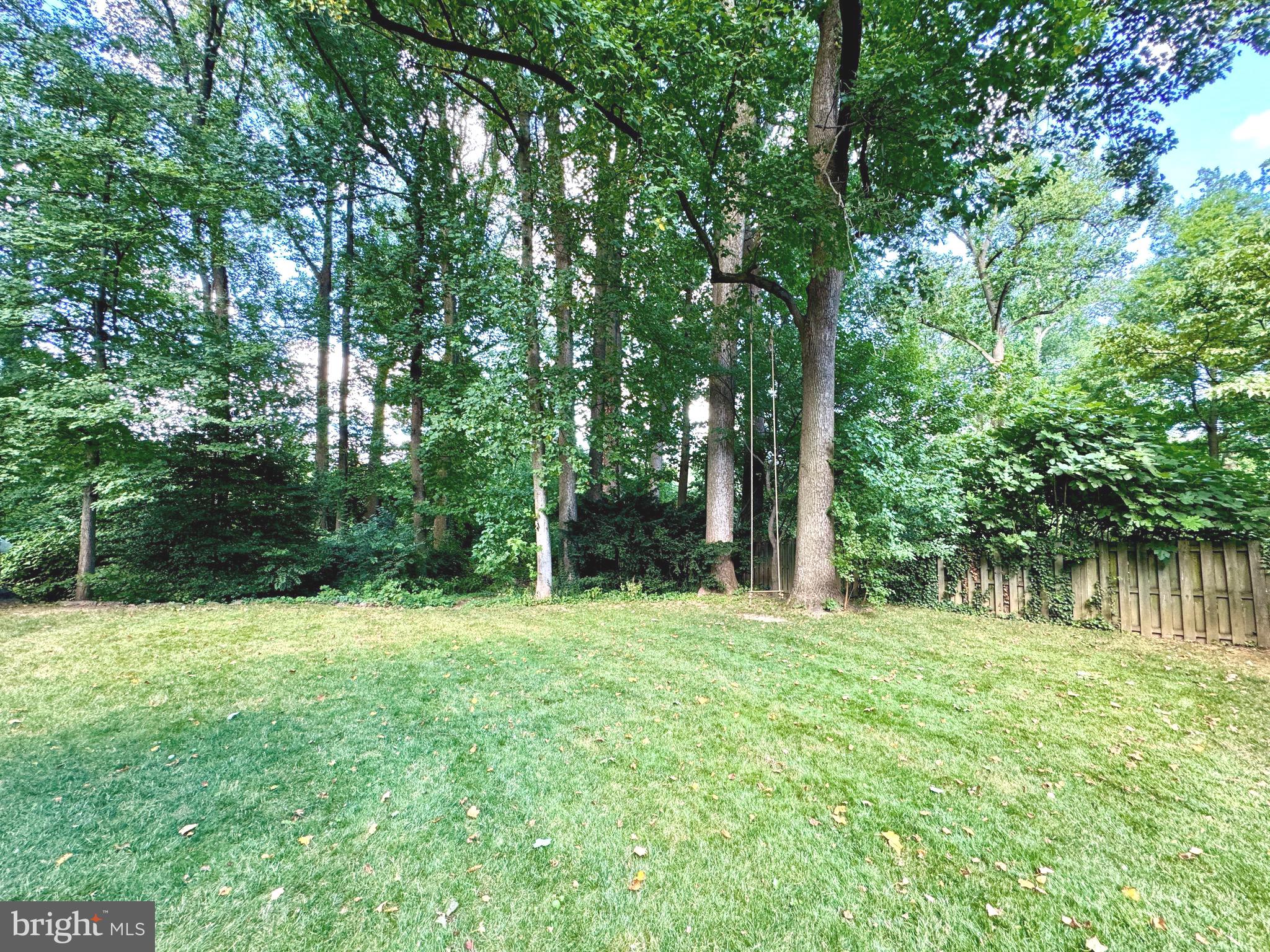 FALLS HILL - Residential Lease