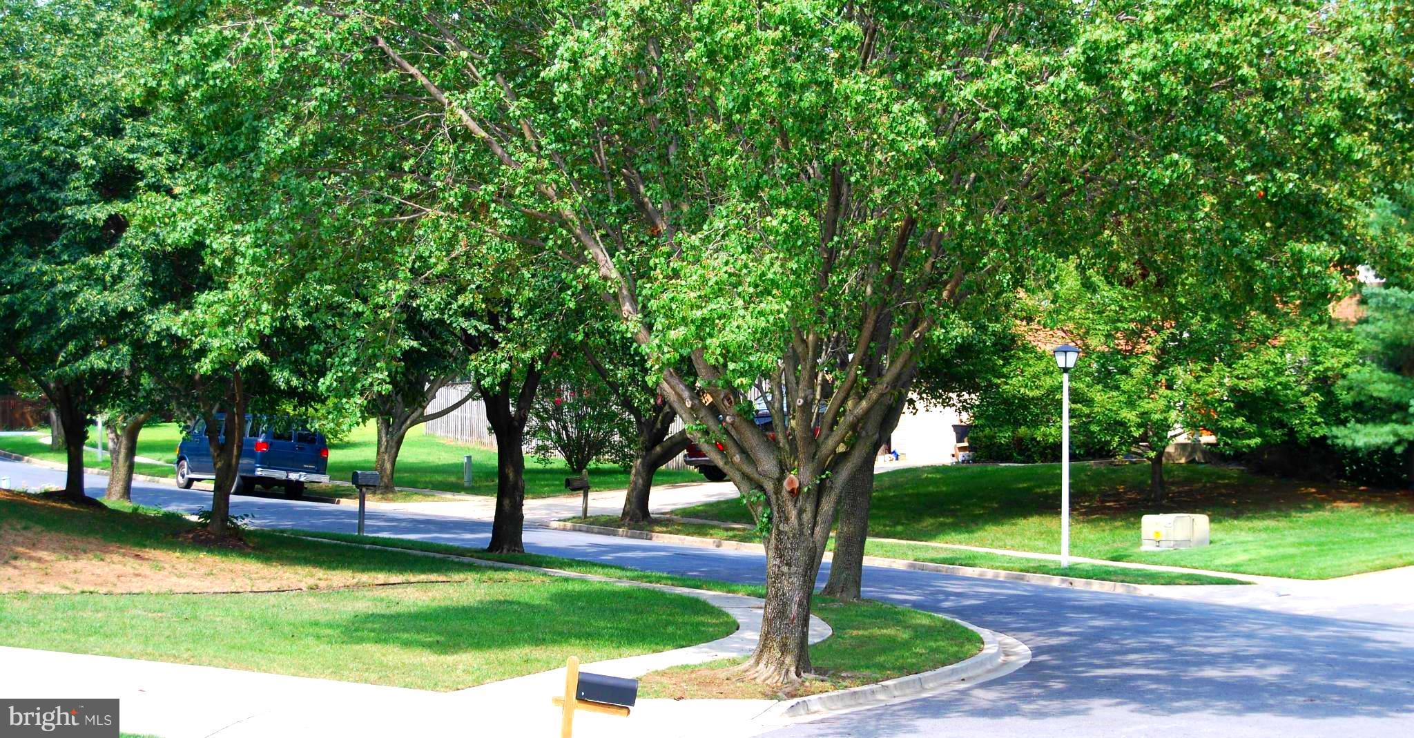 CANTERBURY ESTATES - Residential Lease