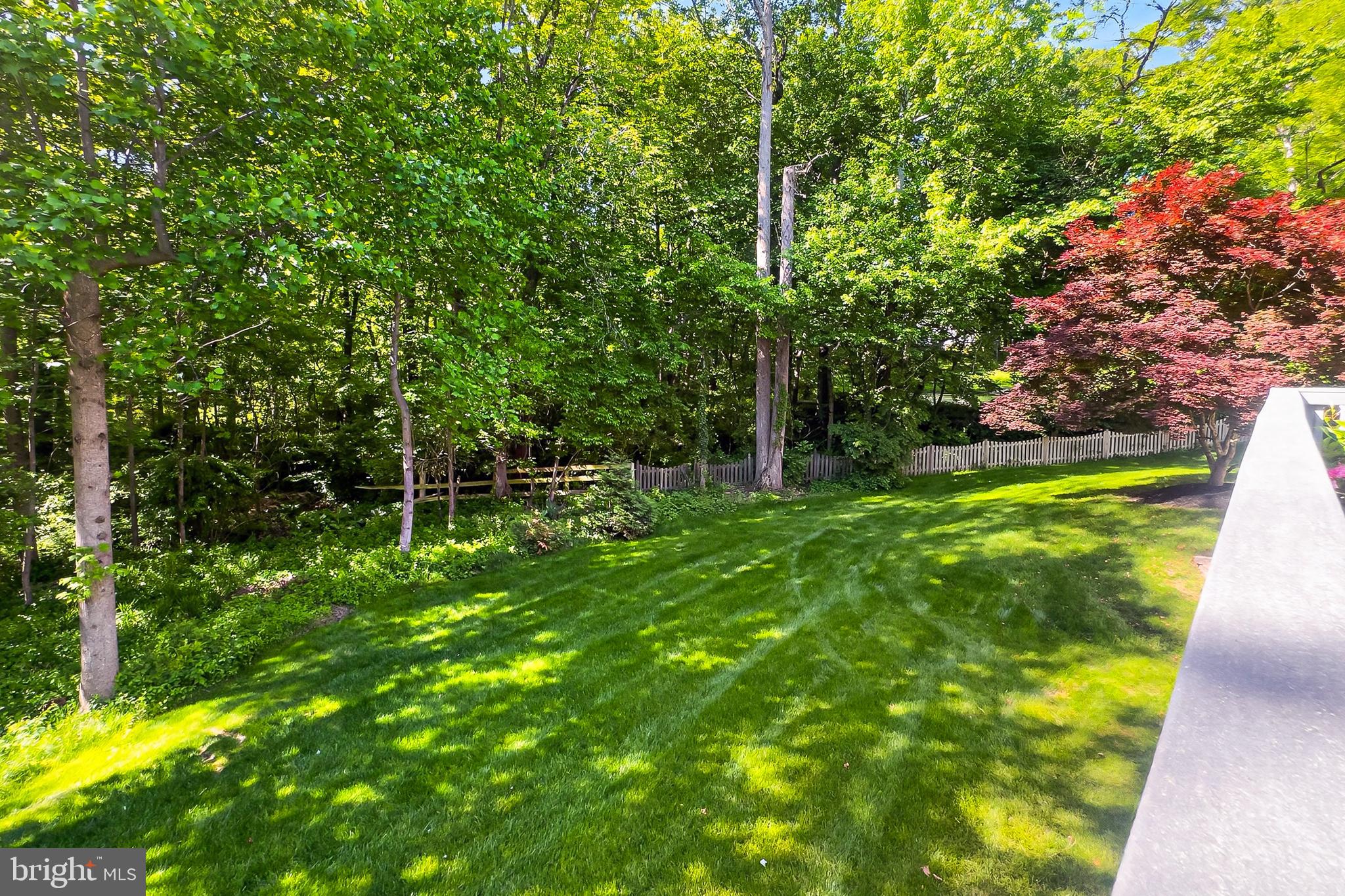 COPELAND POND - Residential