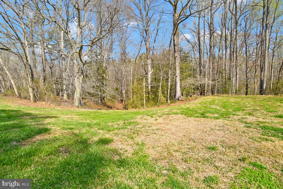 BENEDICT FARMS - Residential