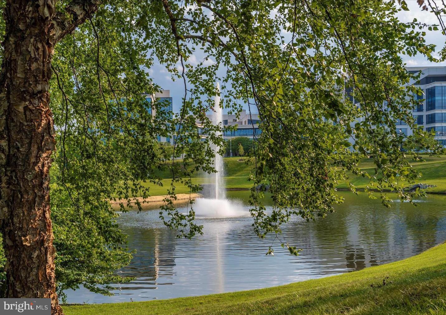 ORCHARD RIDGE - Residential