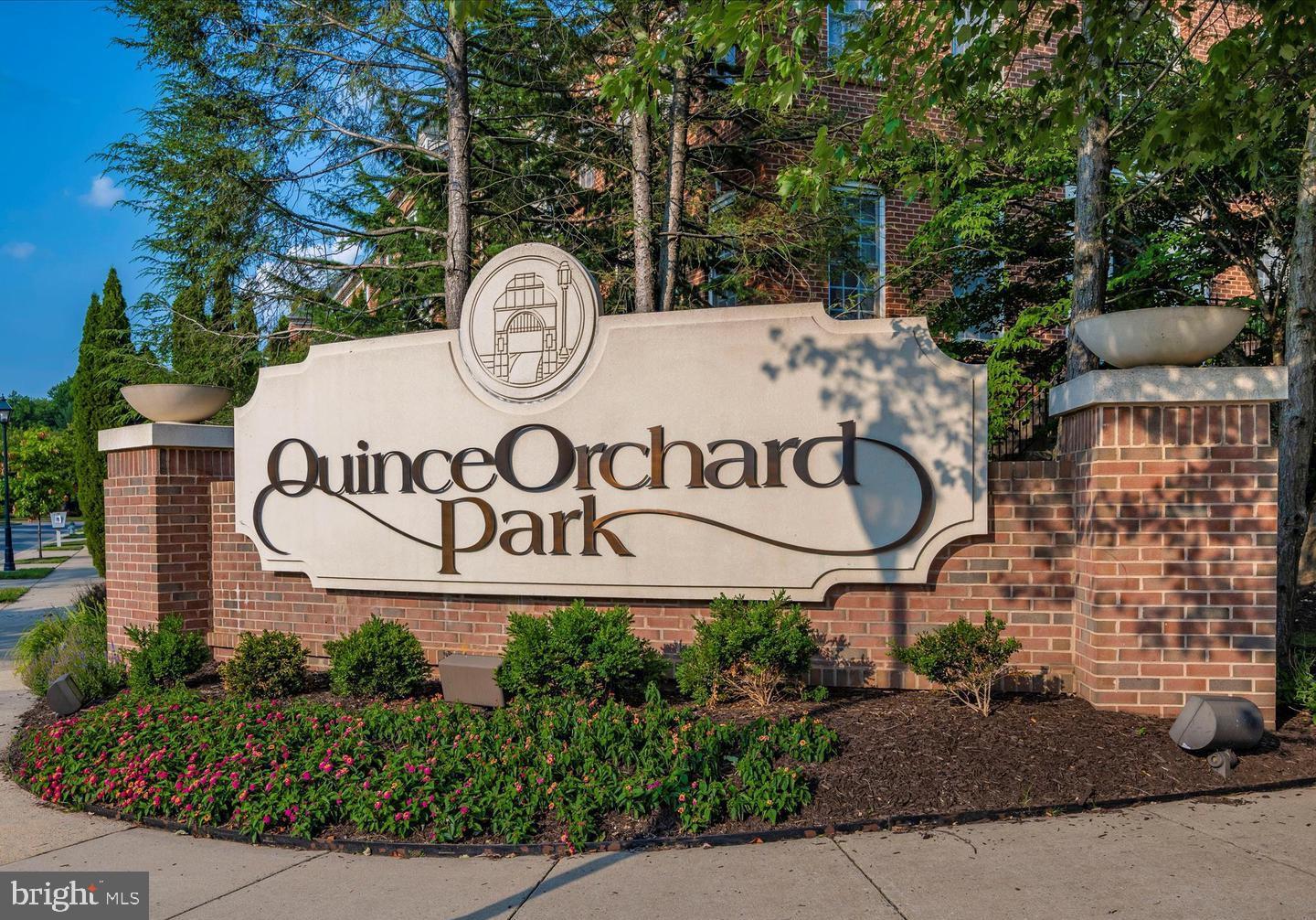 ORCHARD RIDGE - Residential