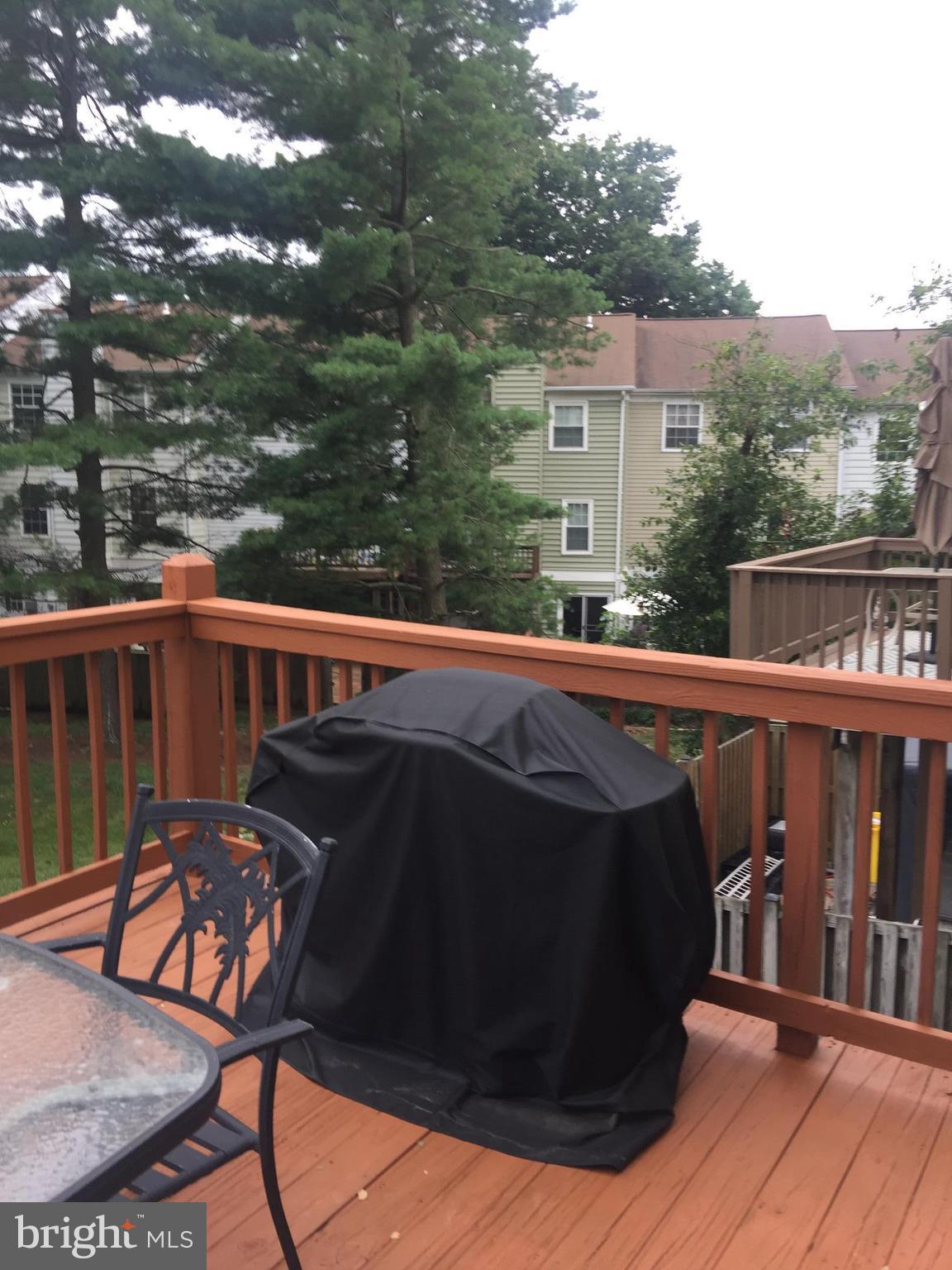 SYCAMORE MEWS - Residential