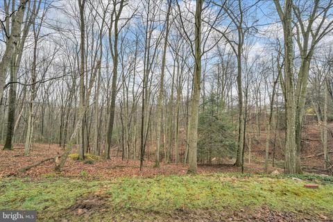 Tiny photo for 826 Pinewood Drive, POTTSVILLE, PA 17901 (MLS # PASK2026460)