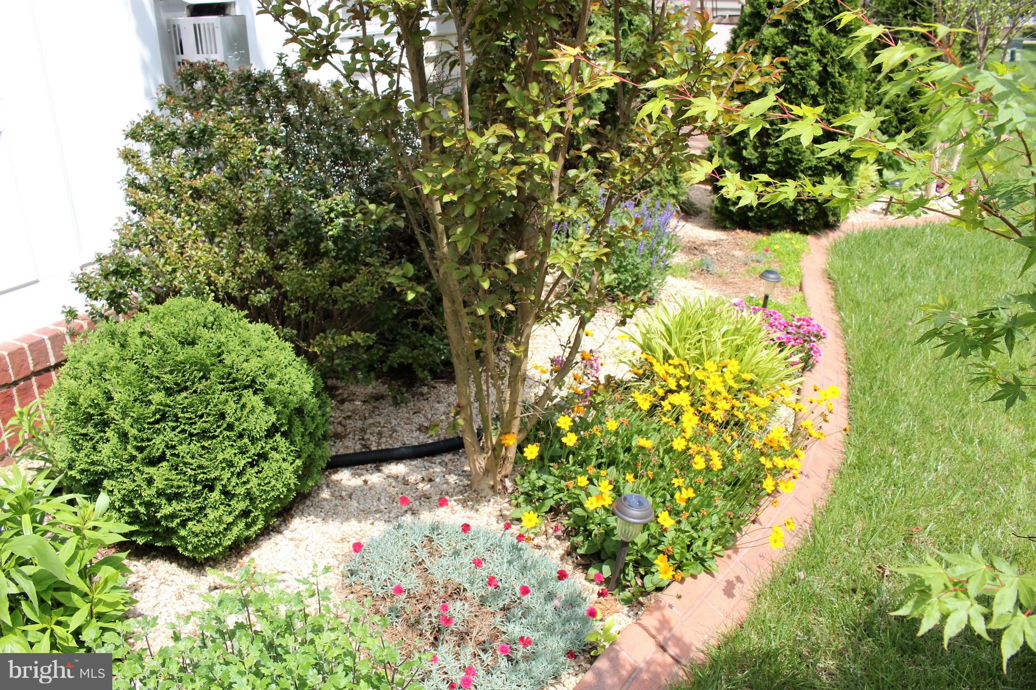 BRAEMAR - Residential