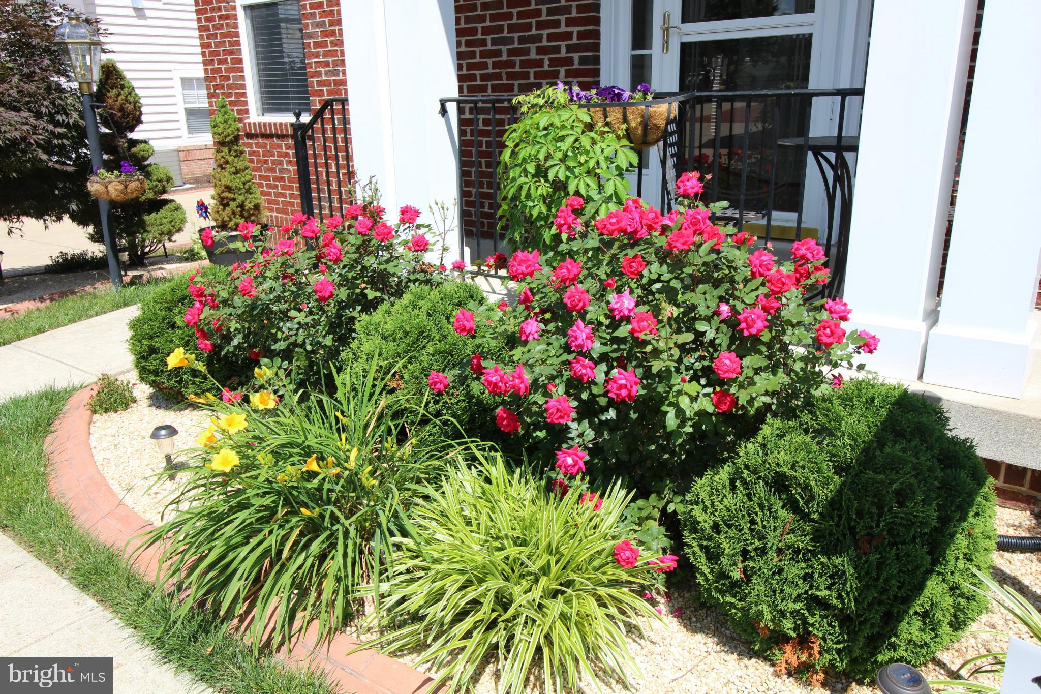 BRAEMAR - Residential