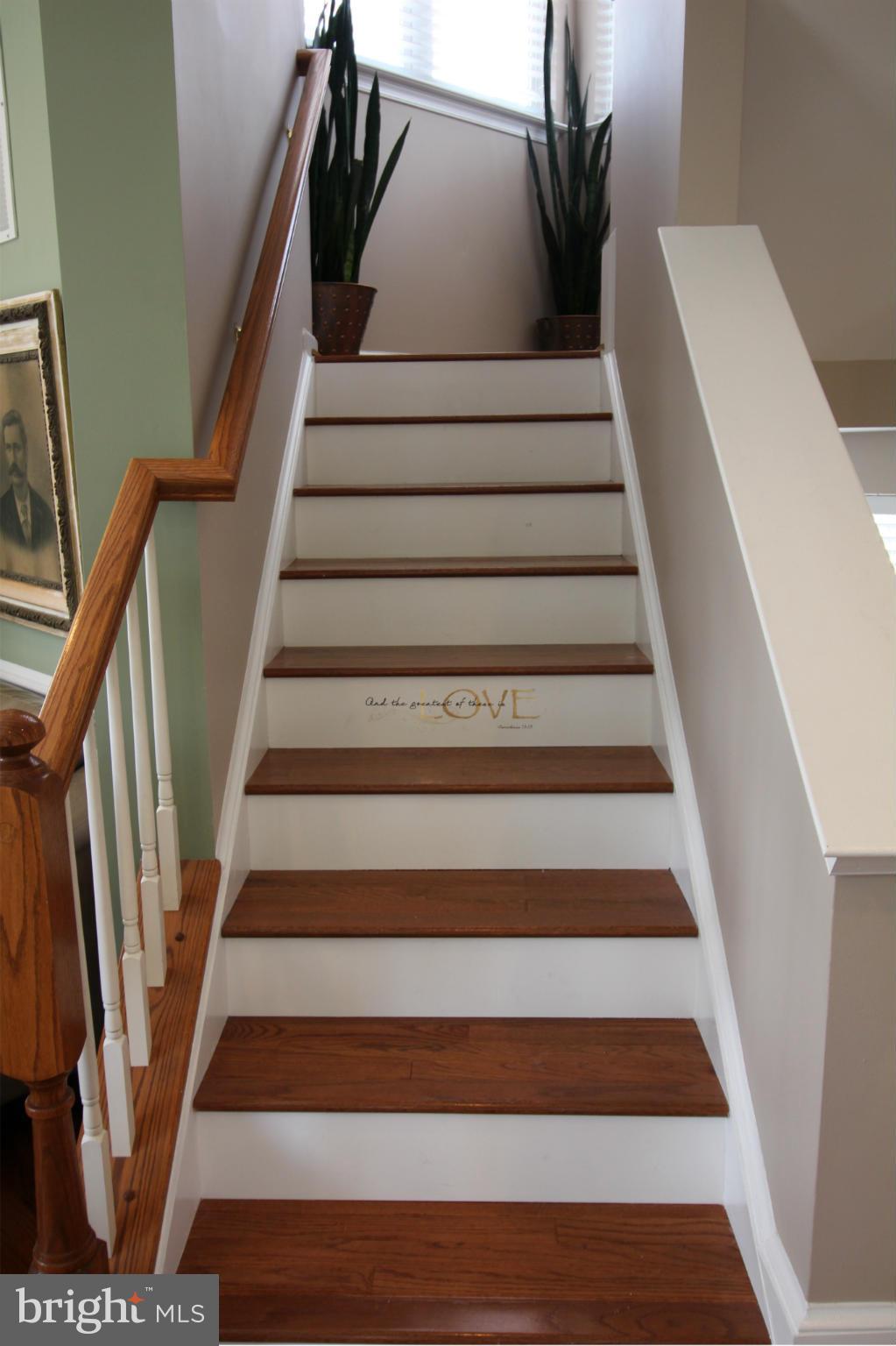 BRAEMAR - Residential