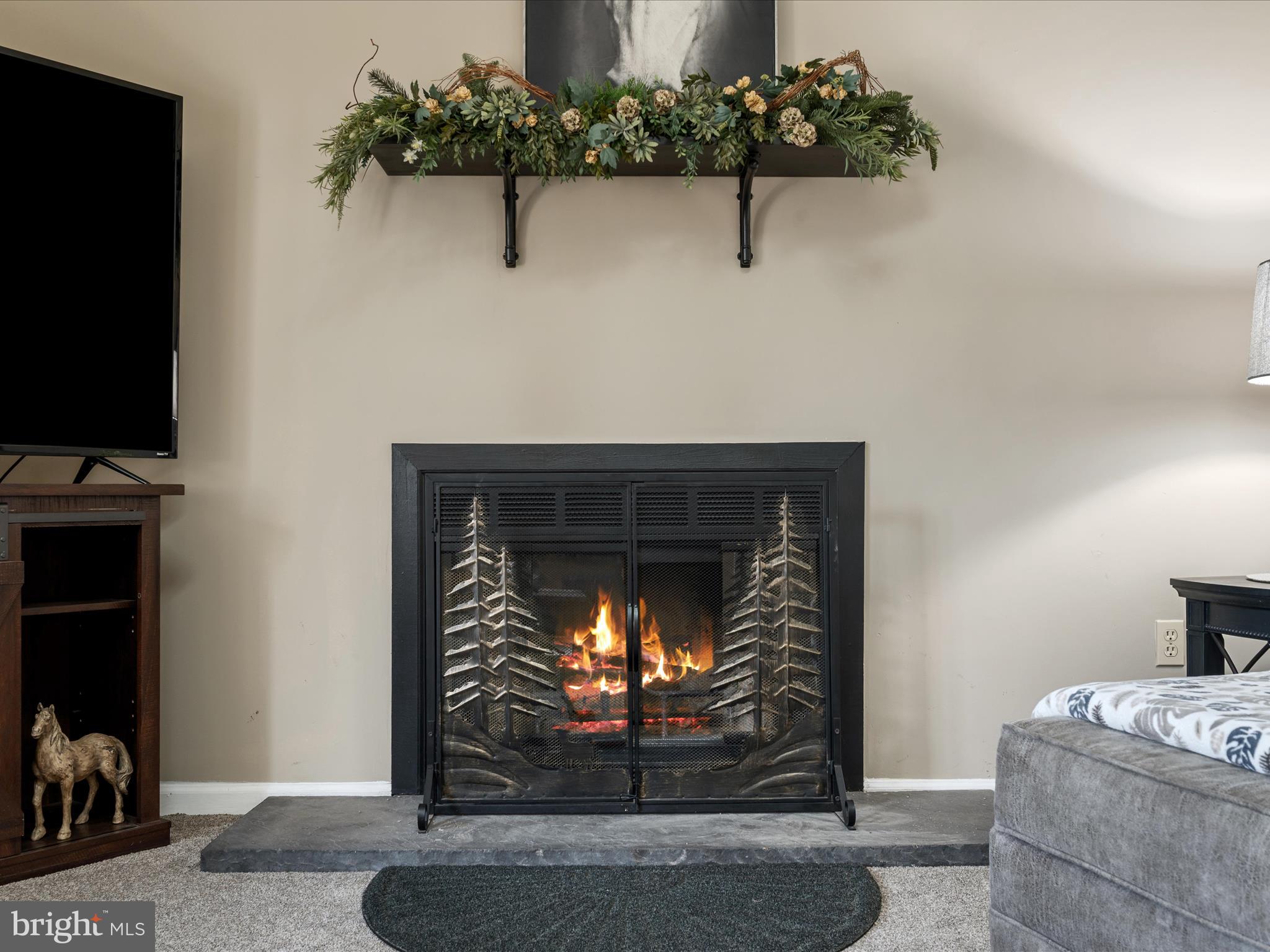 LAKE HOLIDAY ESTATES - Residential