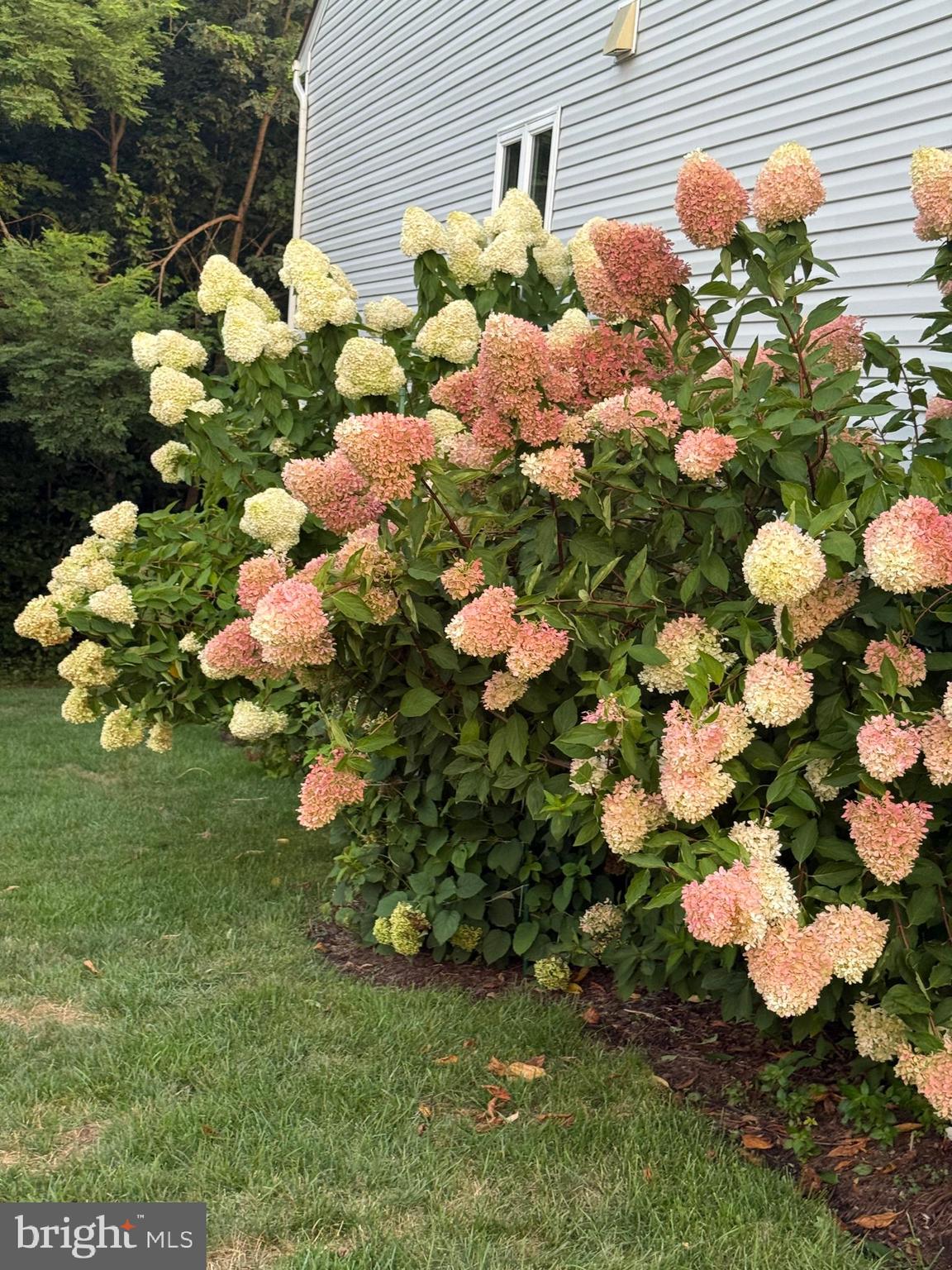 96 BATTERY POINT DRIVE