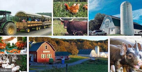 CHAPEL WOODS - Residential