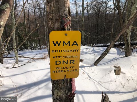 Vacant Land For Sale - 356 Ashton Woods<br/> MOOREFIELD, WV 26836