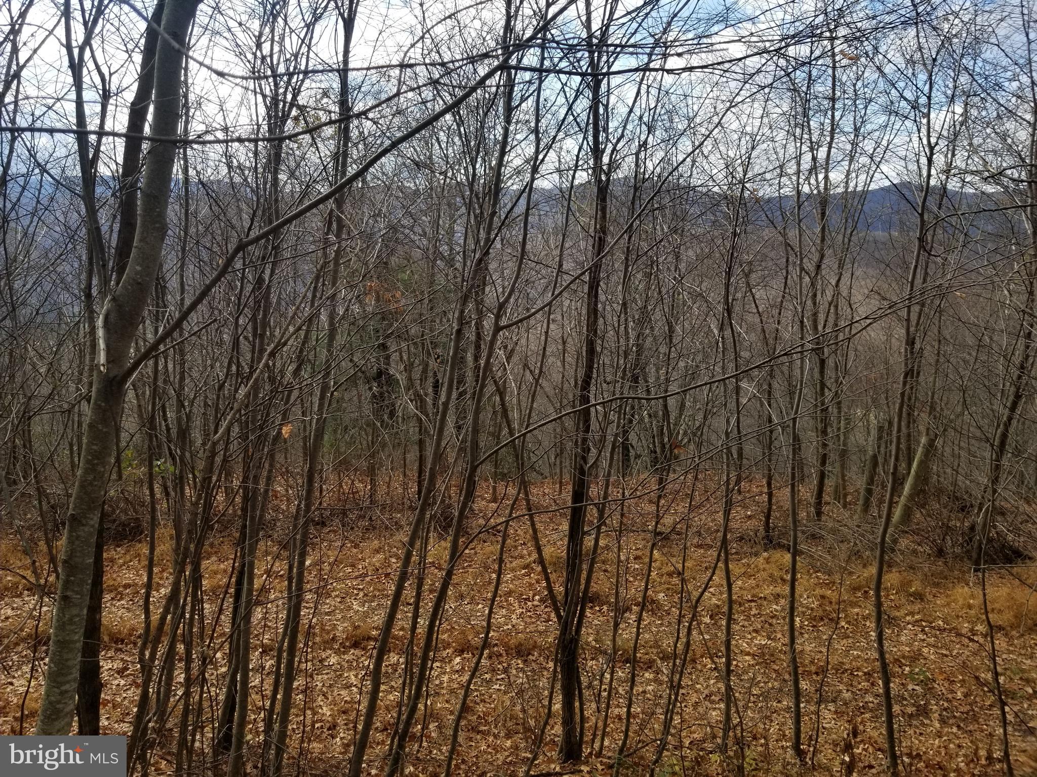 BUFFALO HILLS VISTA - Land